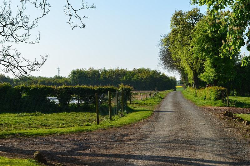 Saint-Pol-sur-Ternoise La Ferme Du Bois Quesnoy Bed & Breakfast エクステリア 写真